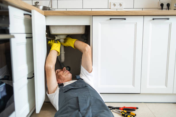 Best Plumbing Services Near Me  in Galls, IN